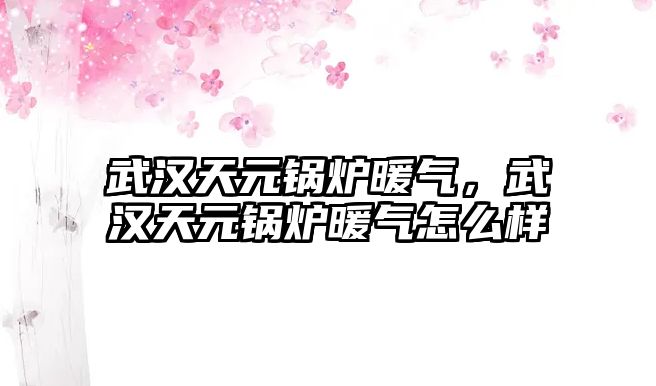 武漢天元鍋爐暖氣，武漢天元鍋爐暖氣怎么樣