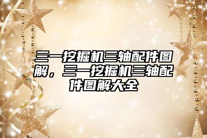 三一挖掘機三軸配件圖解，三一挖掘機三軸配件圖解大全