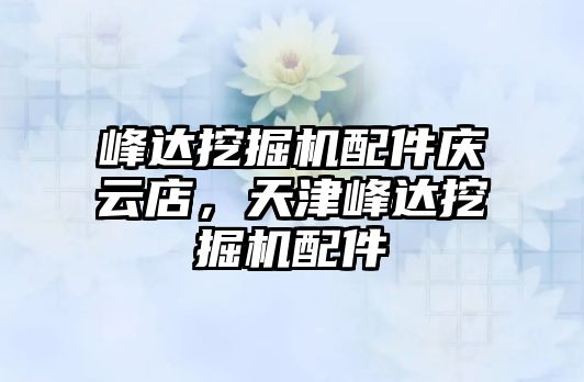 峰達挖掘機配件慶云店，天津峰達挖掘機配件