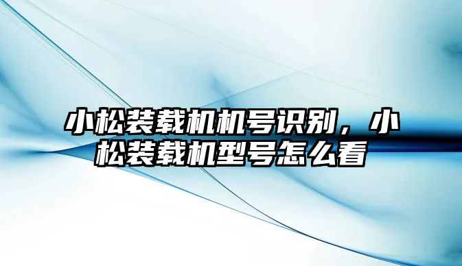 小松裝載機(jī)機(jī)號識別，小松裝載機(jī)型號怎么看