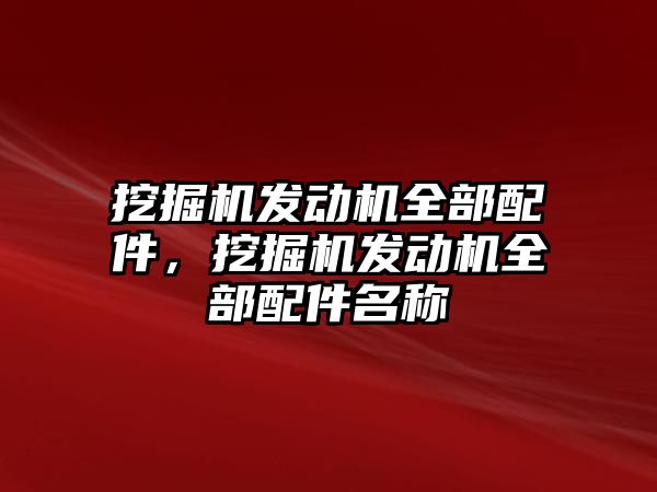 挖掘機發(fā)動機全部配件，挖掘機發(fā)動機全部配件名稱