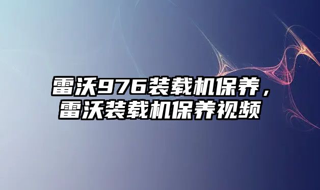 雷沃976裝載機保養(yǎng)，雷沃裝載機保養(yǎng)視頻