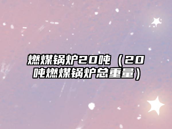 燃煤鍋爐20噸（20噸燃煤鍋爐總重量）
