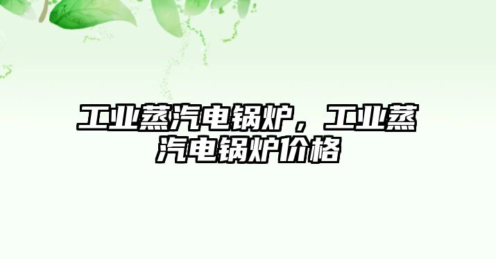 工業(yè)蒸汽電鍋爐，工業(yè)蒸汽電鍋爐價(jià)格