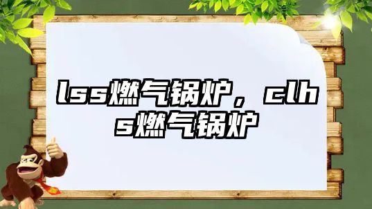lss燃?xì)忮仩t，clhs燃?xì)忮仩t
