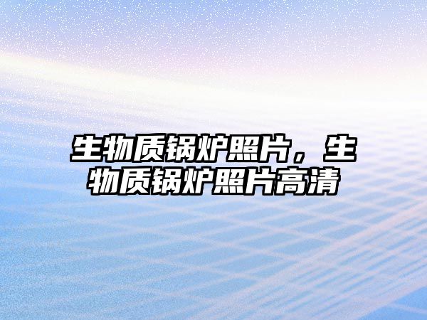 生物質鍋爐照片，生物質鍋爐照片高清