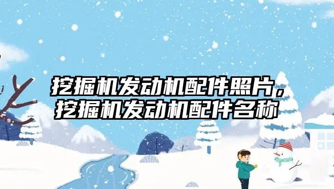 挖掘機(jī)發(fā)動(dòng)機(jī)配件照片，挖掘機(jī)發(fā)動(dòng)機(jī)配件名稱(chēng)