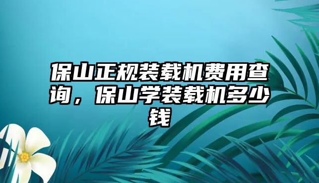 保山正規(guī)裝載機費用查詢，保山學裝載機多少錢
