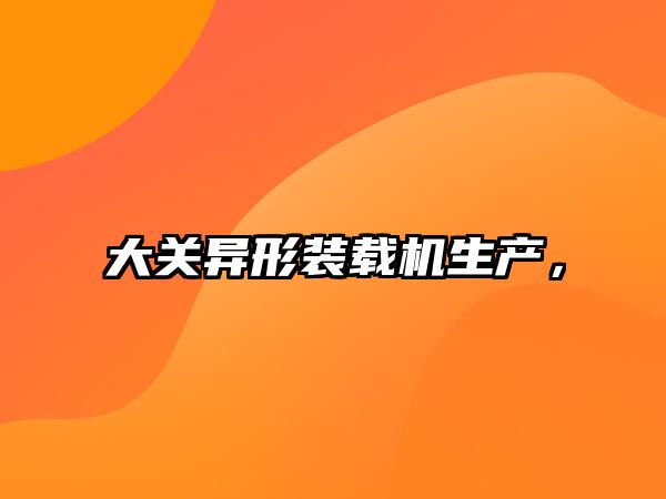 大關異形裝載機生產(chǎn)，