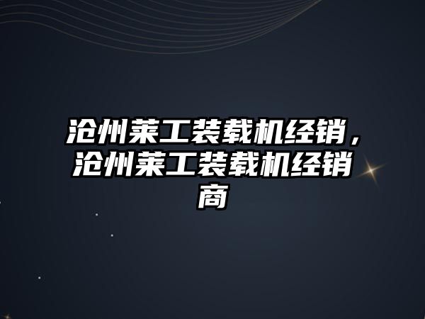 滄州萊工裝載機經(jīng)銷，滄州萊工裝載機經(jīng)銷商