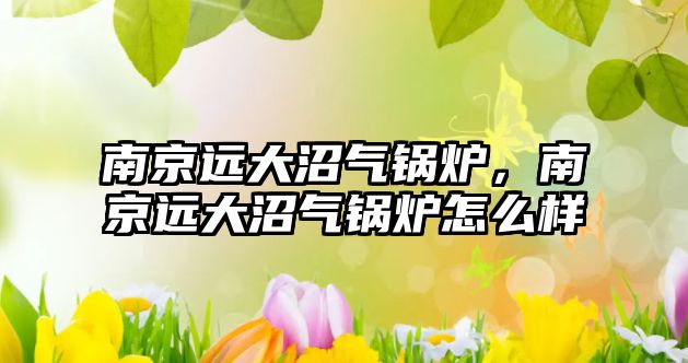 南京遠(yuǎn)大沼氣鍋爐，南京遠(yuǎn)大沼氣鍋爐怎么樣