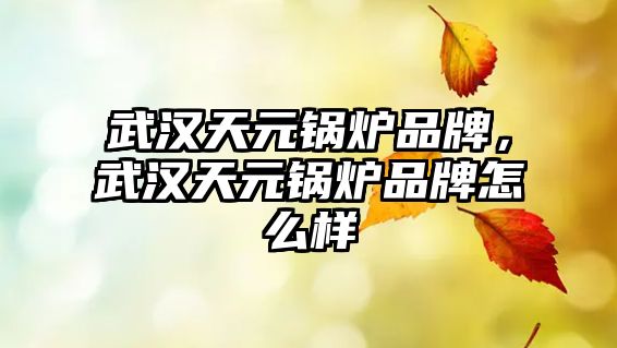 武漢天元鍋爐品牌，武漢天元鍋爐品牌怎么樣
