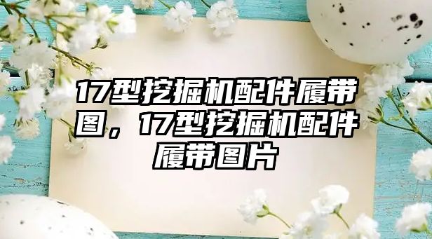 17型挖掘機(jī)配件履帶圖，17型挖掘機(jī)配件履帶圖片