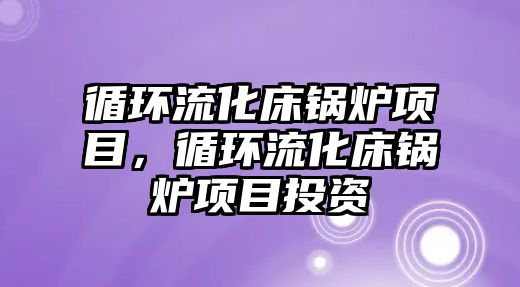 循環(huán)流化床鍋爐項目，循環(huán)流化床鍋爐項目投資