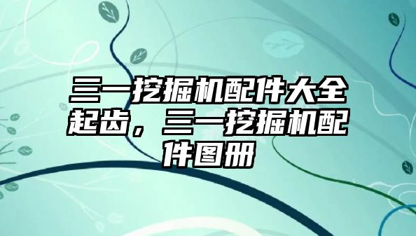 三一挖掘機(jī)配件大全起齒，三一挖掘機(jī)配件圖冊