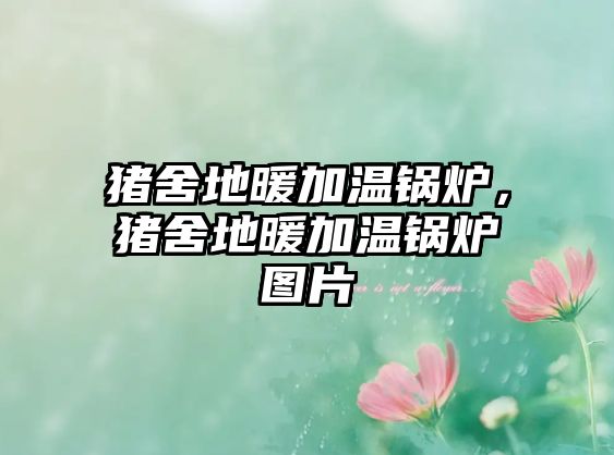 豬舍地暖加溫鍋爐，豬舍地暖加溫鍋爐圖片