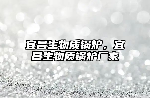 宜昌生物質(zhì)鍋爐，宜昌生物質(zhì)鍋爐廠家