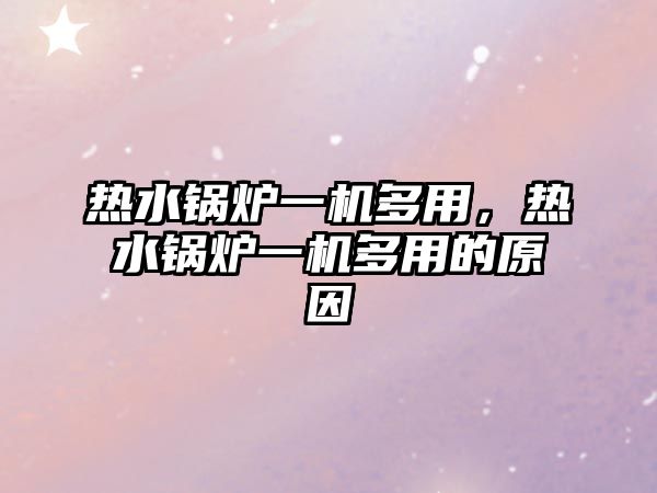 熱水鍋爐一機(jī)多用，熱水鍋爐一機(jī)多用的原因