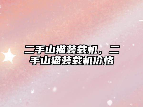 二手山貓裝載機(jī)，二手山貓裝載機(jī)價格