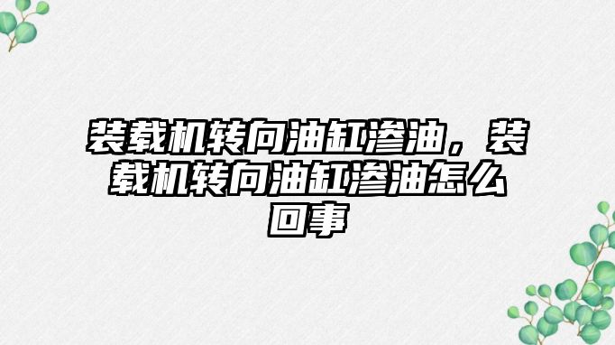 裝載機(jī)轉(zhuǎn)向油缸滲油，裝載機(jī)轉(zhuǎn)向油缸滲油怎么回事