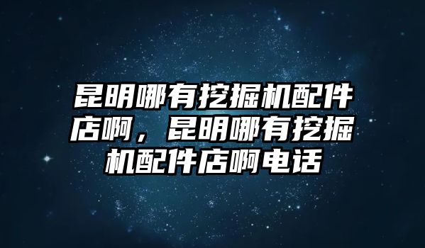 昆明哪有挖掘機(jī)配件店啊，昆明哪有挖掘機(jī)配件店啊電話
