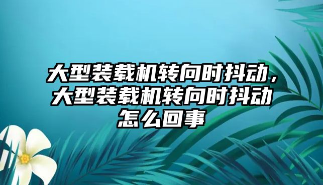 大型裝載機(jī)轉(zhuǎn)向時(shí)抖動，大型裝載機(jī)轉(zhuǎn)向時(shí)抖動怎么回事