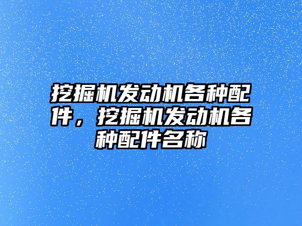 挖掘機發(fā)動機各種配件，挖掘機發(fā)動機各種配件名稱