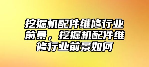 挖掘機配件維修行業(yè)前景，挖掘機配件維修行業(yè)前景如何