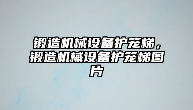 鍛造機械設(shè)備護籠梯，鍛造機械設(shè)備護籠梯圖片