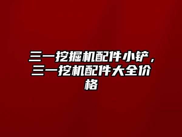 三一挖掘機配件小鏟，三一挖機配件大全價格