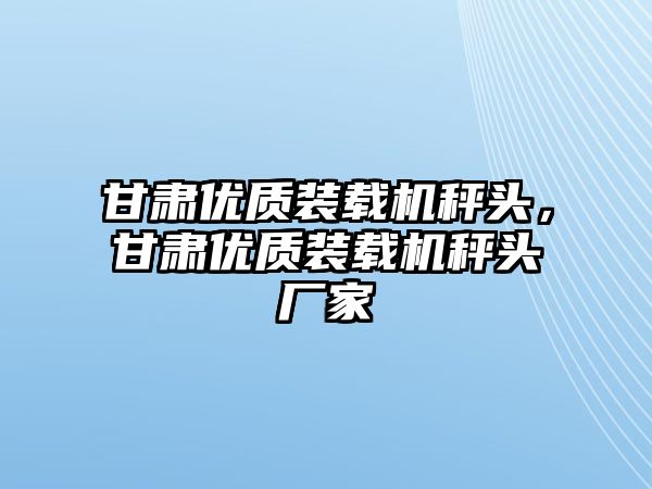 甘肅優(yōu)質裝載機秤頭，甘肅優(yōu)質裝載機秤頭廠家