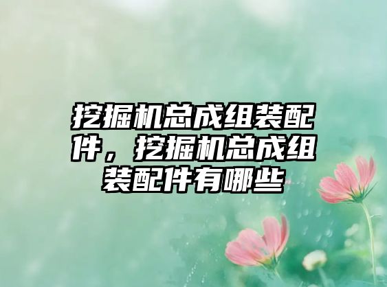 挖掘機(jī)總成組裝配件，挖掘機(jī)總成組裝配件有哪些