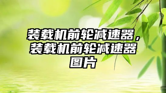 裝載機前輪減速器，裝載機前輪減速器圖片