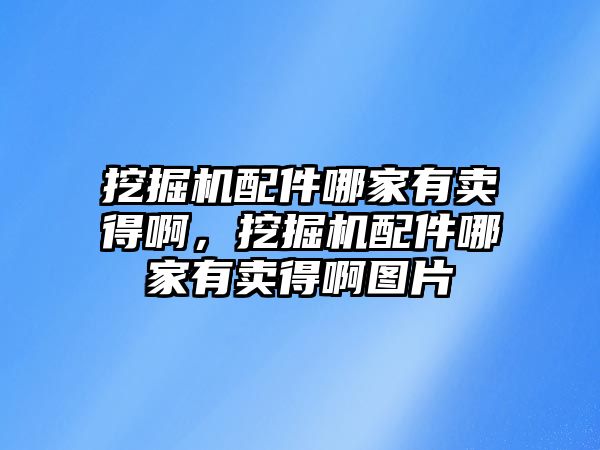 挖掘機(jī)配件哪家有賣得啊，挖掘機(jī)配件哪家有賣得啊圖片