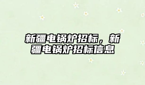 新疆電鍋爐招標(biāo)，新疆電鍋爐招標(biāo)信息