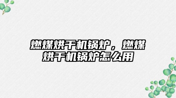 燃煤烘干機(jī)鍋爐，燃煤烘干機(jī)鍋爐怎么用