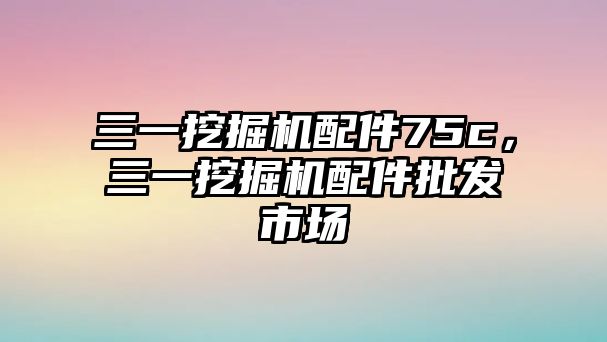 三一挖掘機(jī)配件75c，三一挖掘機(jī)配件批發(fā)市場