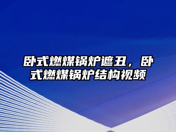臥式燃煤鍋爐遮丑，臥式燃煤鍋爐結(jié)構(gòu)視頻