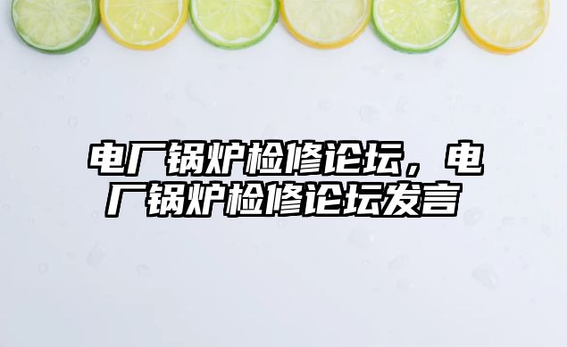 電廠鍋爐檢修論壇，電廠鍋爐檢修論壇發(fā)言