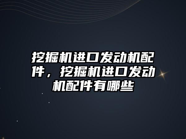 挖掘機(jī)進(jìn)口發(fā)動機(jī)配件，挖掘機(jī)進(jìn)口發(fā)動機(jī)配件有哪些