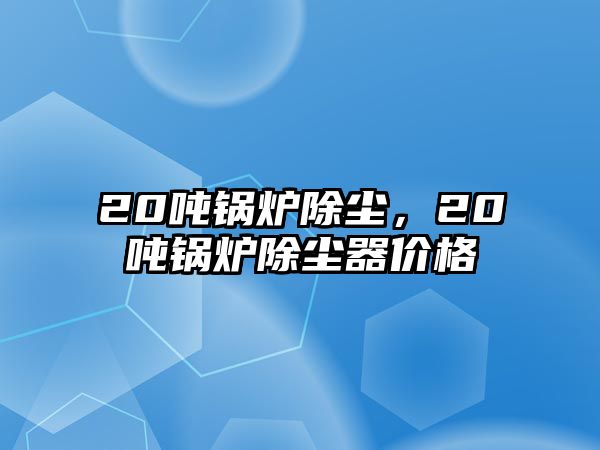 20噸鍋爐除塵，20噸鍋爐除塵器價格