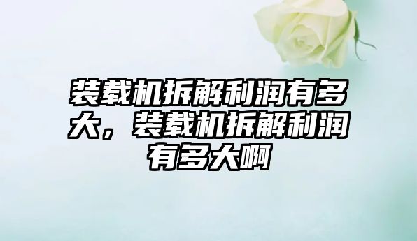 裝載機(jī)拆解利潤(rùn)有多大，裝載機(jī)拆解利潤(rùn)有多大啊
