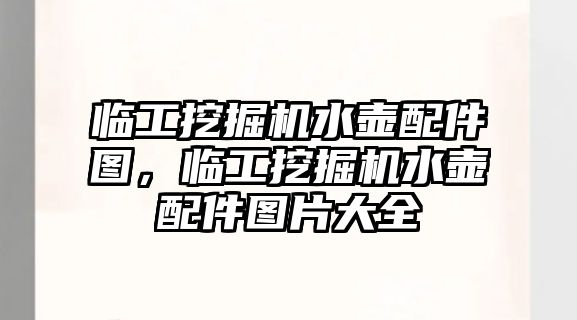 臨工挖掘機(jī)水壺配件圖，臨工挖掘機(jī)水壺配件圖片大全