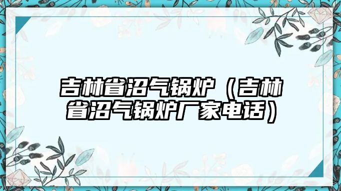 吉林省沼氣鍋爐（吉林省沼氣鍋爐廠家電話）