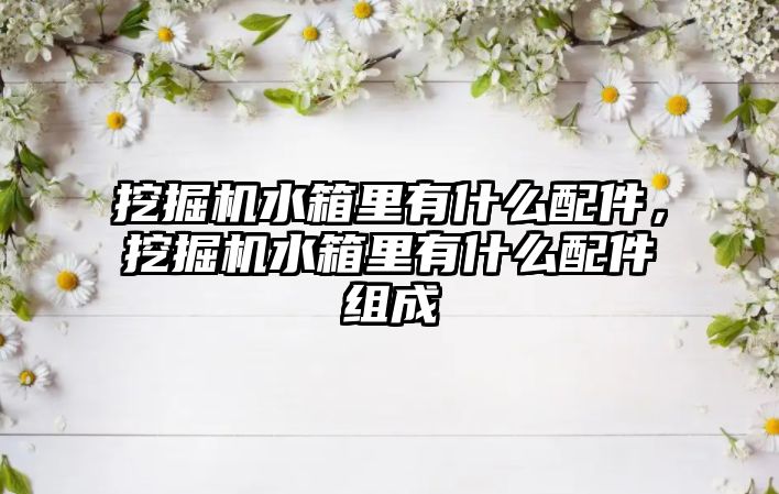 挖掘機(jī)水箱里有什么配件，挖掘機(jī)水箱里有什么配件組成