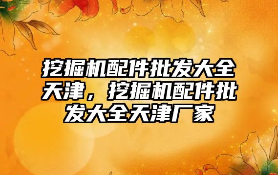 挖掘機(jī)配件批發(fā)大全天津，挖掘機(jī)配件批發(fā)大全天津廠家
