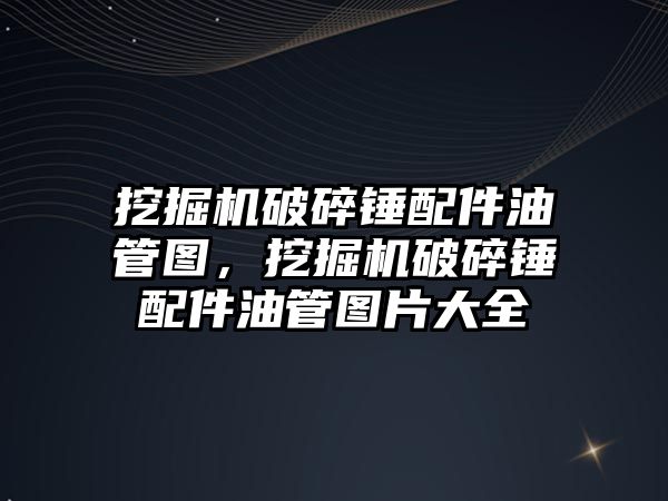 挖掘機(jī)破碎錘配件油管圖，挖掘機(jī)破碎錘配件油管圖片大全