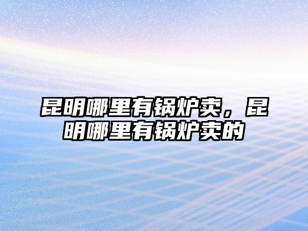 昆明哪里有鍋爐賣，昆明哪里有鍋爐賣的