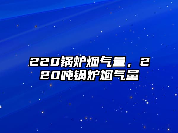 220鍋爐煙氣量，220噸鍋爐煙氣量