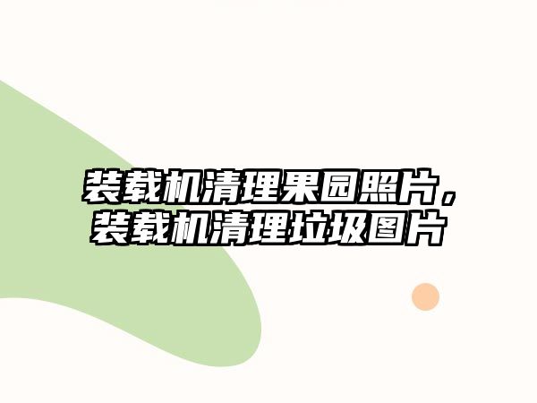 裝載機(jī)清理果園照片，裝載機(jī)清理垃圾圖片